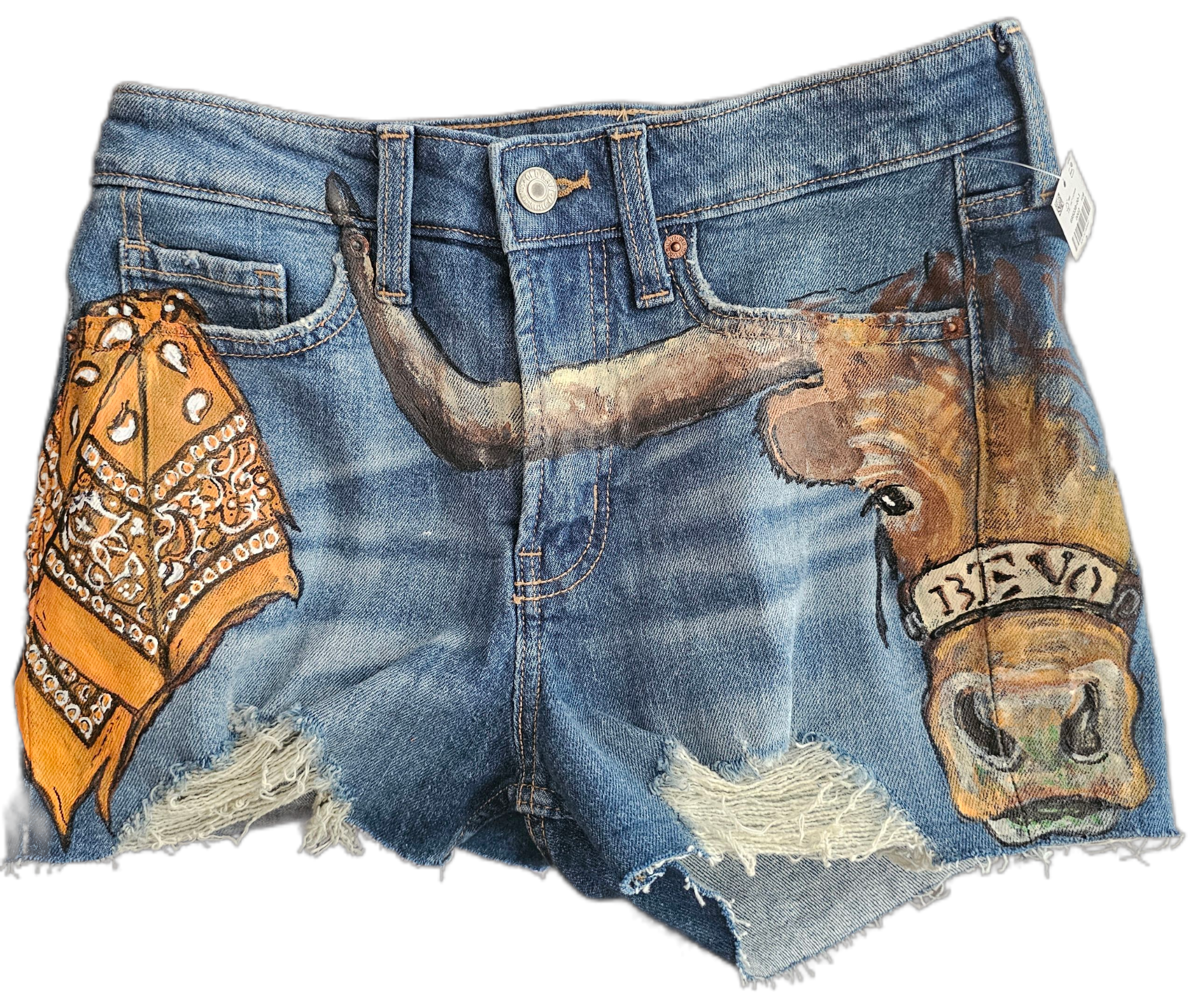 University of Texas Handkerchief and Bevo Shorts